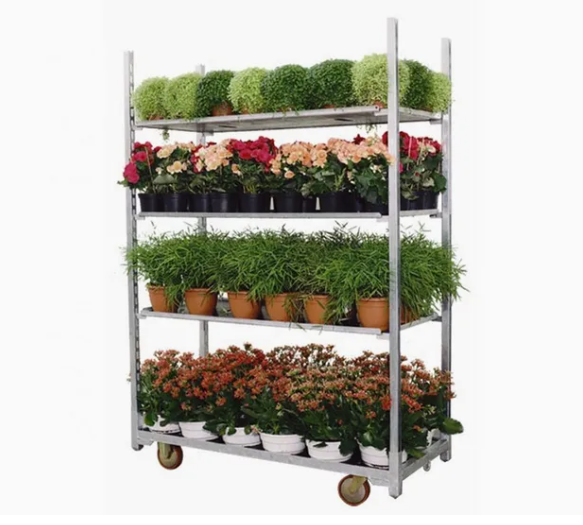 What is Galvanized Plant mushroom flower Mobile Shelf Transport  trolley Cart rack